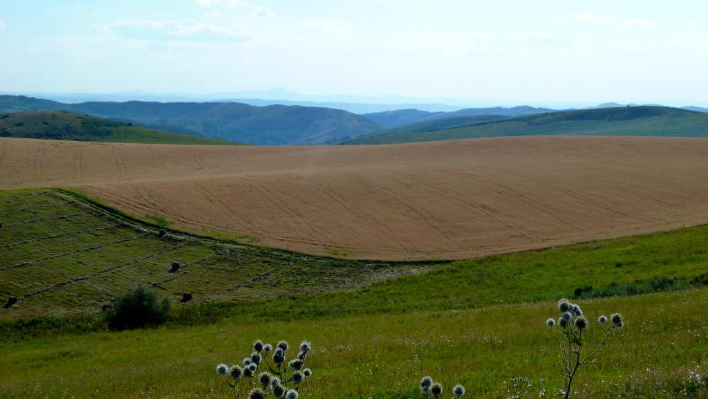 Põllud mägedes. Fields in the mountains