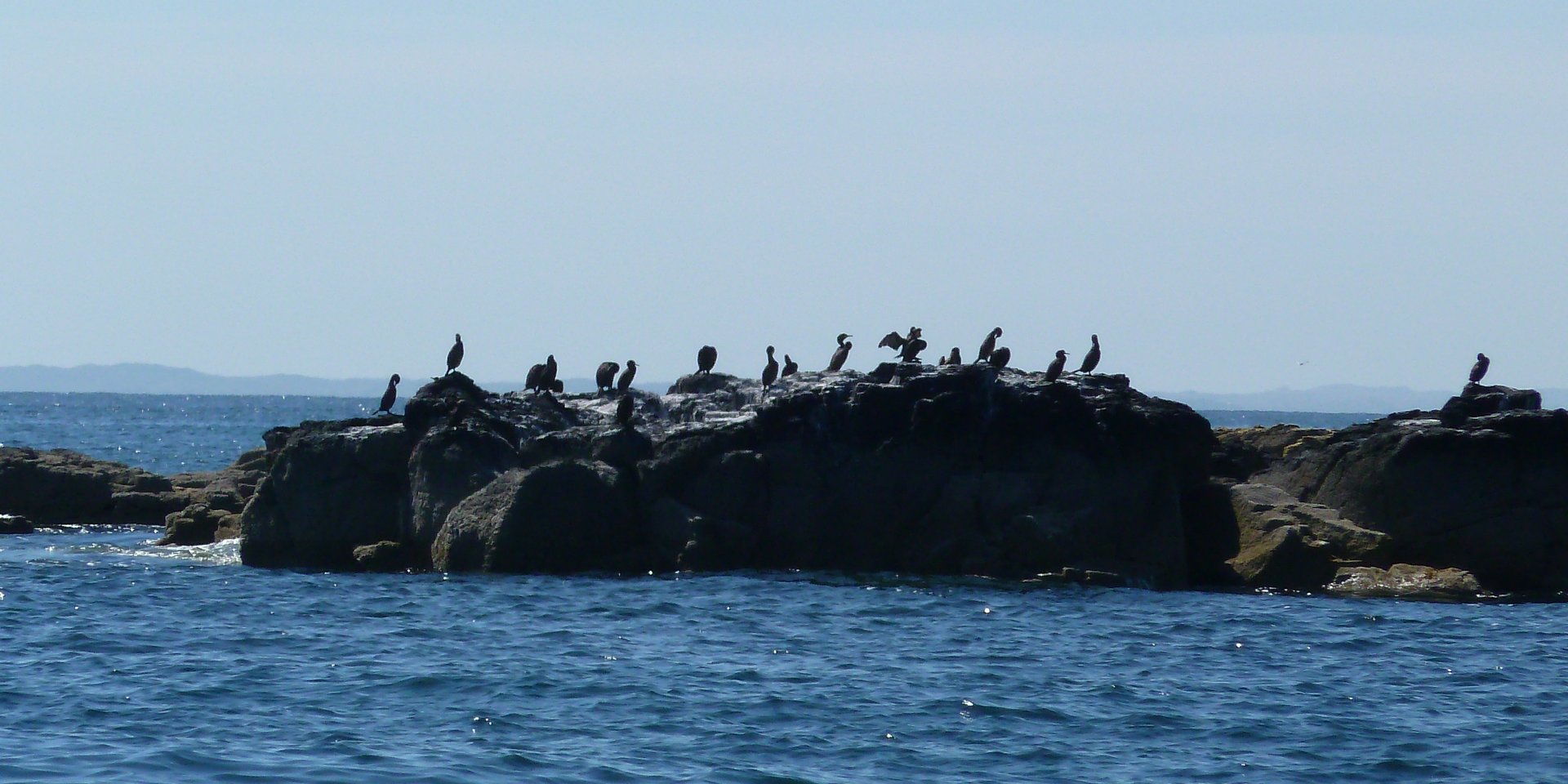 Teedu ja Inge reisid background image